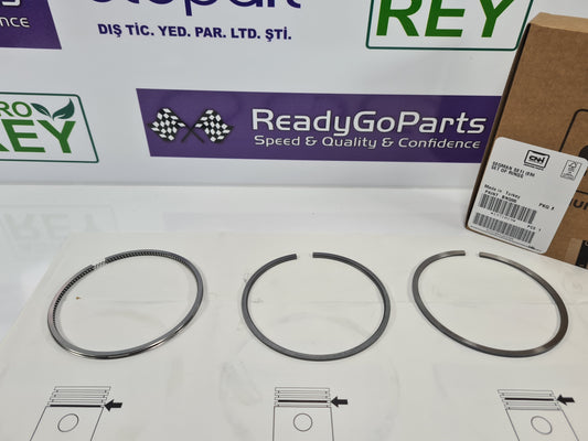 1931019 Piston Rings Kit Fits New Holland Case CNH