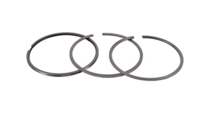 1931019 Piston Rings Kit Fits New Holland Case CNH
