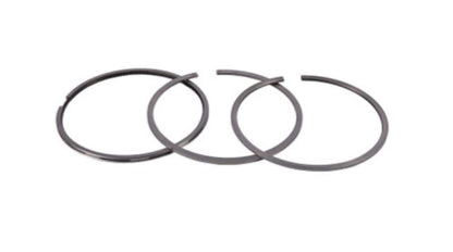 1931019 Piston Rings Kit Fits New Holland Case CNH